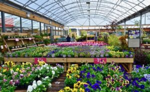Dobbies ,a British chain of Garden Centres. This flagship store is in Lasswade, a village outside of Edinburgh city. Midlothian, Scotland Sept 2017