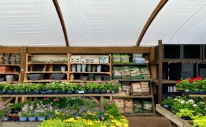 Plants and garden supplies at a garden centre